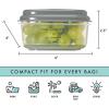 imageFit ampamp Fresh Small Plastic Containers With Lids 8 oz Small Snack Containers With Lids Reusable Leakproof Dressing and Condiment Containers With Two Attachable Ice Packs 4PK Light1 Cup
