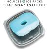 imageFit ampamp Fresh Small Plastic Containers With Lids 8 oz Small Snack Containers With Lids Reusable Leakproof Dressing and Condiment Containers With Two Attachable Ice Packs 4PK Light1 Cup