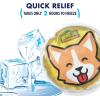 imageCool Coolers Boo Boo Flexible Gel Ice Pack 4x4 Reusable Cold Compress for Minor Injuries 3 Pack DinoAssorted Characters