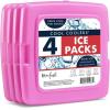 imageCool Coolers by Fit  Fresh Reusable ampamp LongLasting Slim Ice Packs Cold Packs for Lunch Boxes Ice Packs for Lunch Bags Blue 12 PackPurple 4 PK
