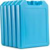 imageFit ampamp Fresh Cool Coolers 5 Pack Days of the Week Ice Blocks Compact ampamp Reusable Ice Packs for Lunch Boxes ampamp Coolers Blue