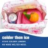 imageFit ampamp Fresh Cool Coolers 2 Pack Soft Ice for Lunch Bags Flexible Stretch Nylon Durable Reusable Lunch Box Ice Packs Soft Ice Reusable Freezer Packs Lunch Ice Easy to Clean Taupe CheckerboardPink Bows