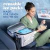 image:imageCool Coolers by Fit amp Fresh Slim Ice Packs Quick Freeze Reusable Ice Packs for Lunch Boxes amp Coolers LongLasting Space Saving Lunch Ice Packs Ivory 4PkClear Blue