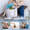 image:imageCool Coolers by Fit amp Fresh XL Slim Ice Packs Quick Freeze Reusable Ice Packs for Lunch Boxes amp Coolers LongLasting Space Saving Cooler Ice Packs Light Pink 4PkClear Blue 4 PK