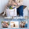 image:imageCool Coolers by Fit amp Fresh XL Slim Ice Packs Quick Freeze Reusable Ice Packs for Lunch Boxes amp Coolers LongLasting Space Saving Cooler Ice Packs Light Pink 4PkTaupe