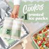 image:imageCool Coolers by Fit amp Fresh Reusable Ice Packs for Coolers  Large LongLasting Freezer Packs Puncture Resistant BPAFree Gel Ice Packs for Coolers Lunch Boxes Camping amp Picnic 2PK Pink GinghamPina Colada Stripe