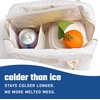 image:imageFit amp Fresh Cool Coolers Soft Ice for Lunch Bags 2pk Flexible Stretch Nylon Durable Reusable Lunch Box Ice Packs Soft Ice Reusable Freezer Packs Lunch Ice Cornflower Blue PicnicIvory Feline Fine 2 Pack