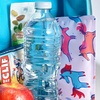 image:imageFit amp Fresh Cool Coolers Soft Ice for Lunch Bags 2pk Flexible Stretch Nylon Durable Reusable Lunch Box Ice Packs Soft Ice Reusable Freezer Packs Lunch Ice Cornflower Blue PicnicUnicorn Stripes