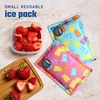 image:imageFit amp Fresh Cool Coolers Soft Ice for Lunch Bags 2pk Flexible Stretch Nylon Durable Reusable Lunch Box Ice Packs Soft Ice Reusable Freezer Packs Lunch Ice Cornflower Blue PicnicGummy Bears 2 Pack